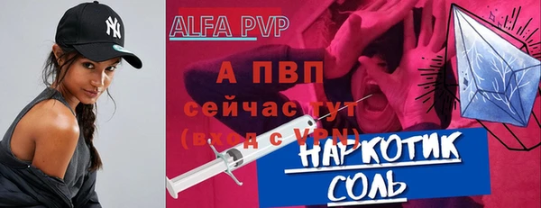 хмурый Болотное