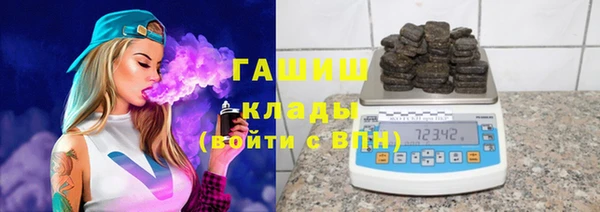 шишки Коряжма
