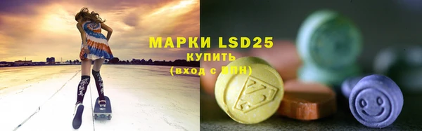 хмурый Болотное
