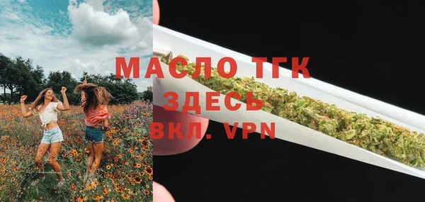 соль ск Кукмор