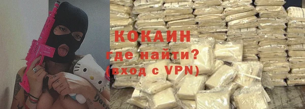 соль ск Кукмор