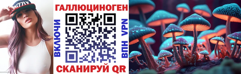 сайты даркнета клад  что такое   Курганинск  Псилоцибиновые грибы ЛСД  OMG ТОР 