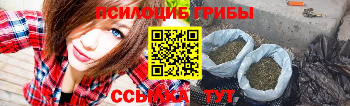 Псилоцибиновые грибы мухоморы  купить наркоту  Курганинск  Вход с VPN 